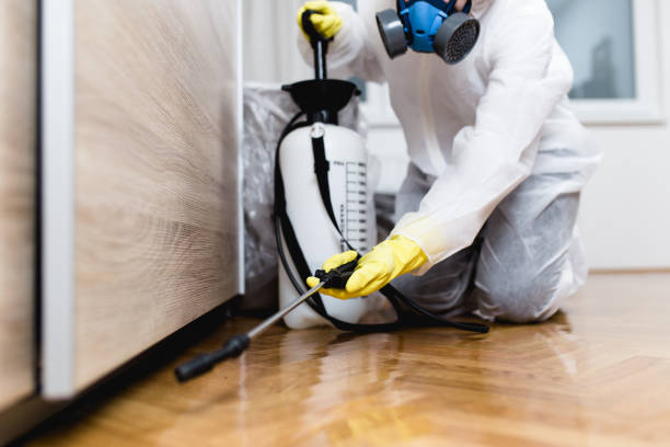 Best Termite Control Services  in North Chicago, IL