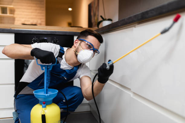 Best Bed Bug Extermination  in North Chicago, IL