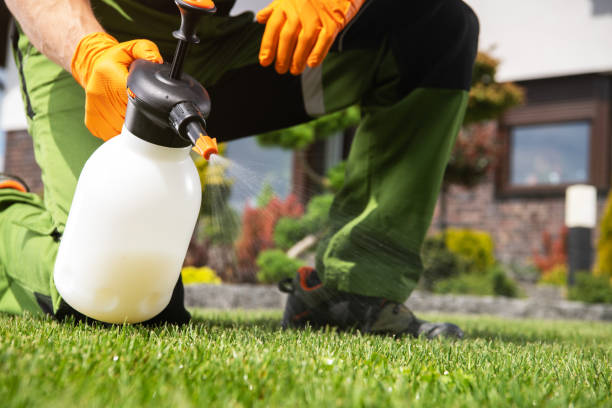 Flea Control Services in North Chicago, IL