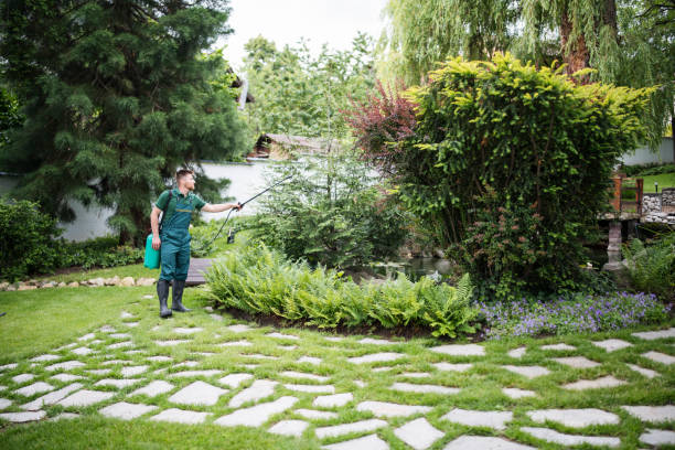Trusted North Chicago, IL Pest Control Experts