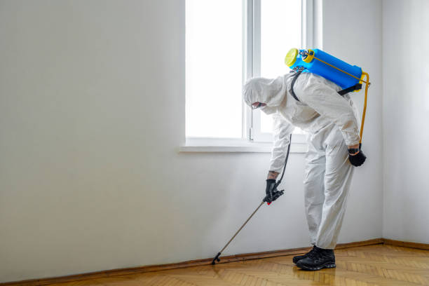Best Emergency Pest Control  in North Chicago, IL