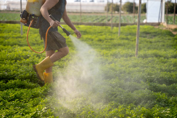 Best Pest Prevention Services  in North Chicago, IL