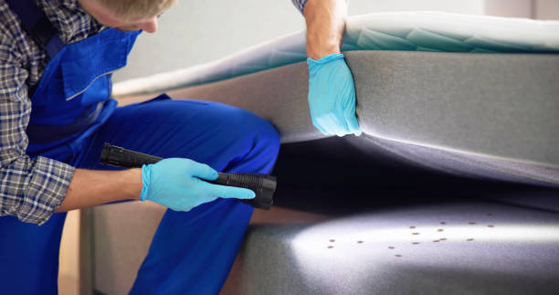 Reliable North Chicago, IL Pest Control Solutions