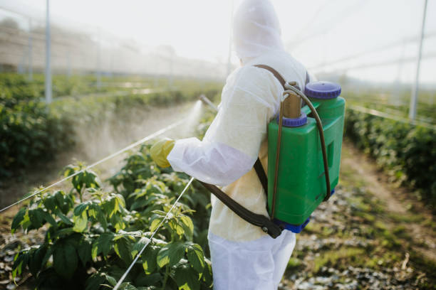 Best Best Pest Control Companies  in North Chicago, IL